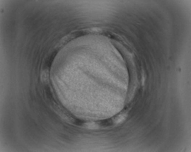 X0000081310425200702012339