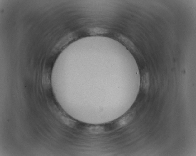 X0000081310426200702012339