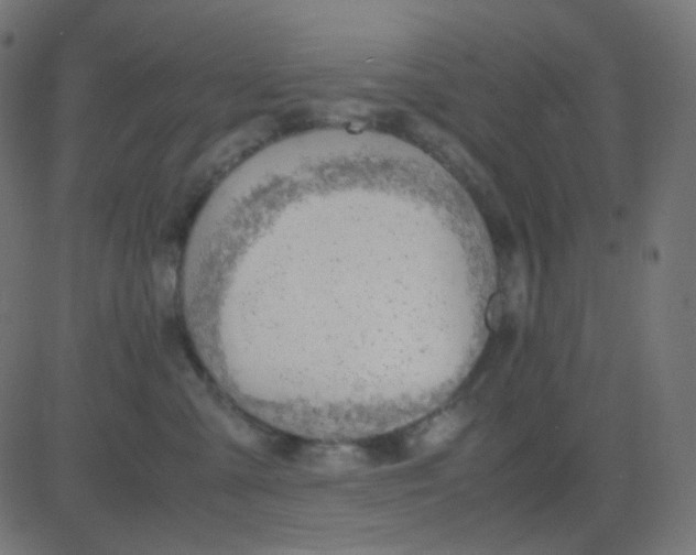 X0000081310427200702012339