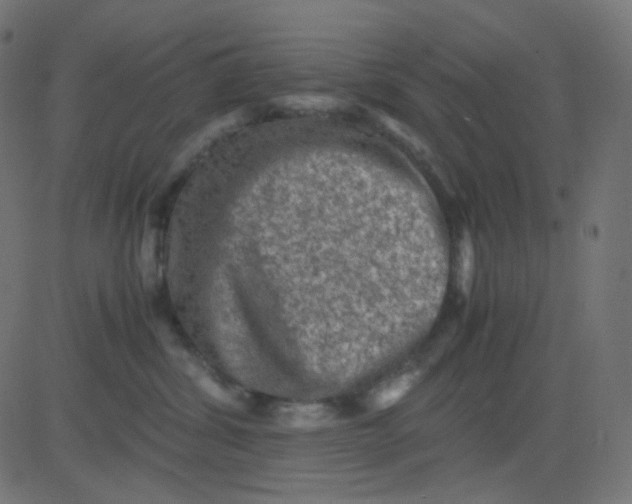 X0000081310428200702012339