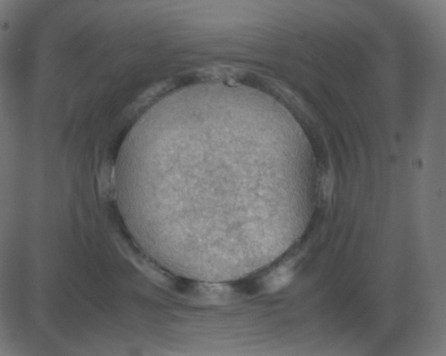 X0000081310429200702012339