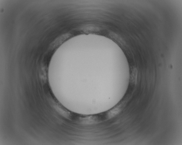 X0000081310430200702012339