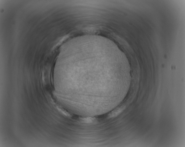 X0000081310432200702012339