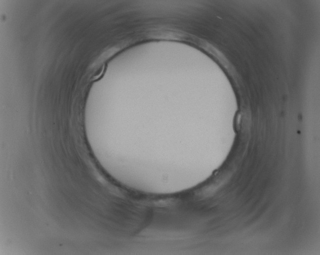 X0000081310433200702012338