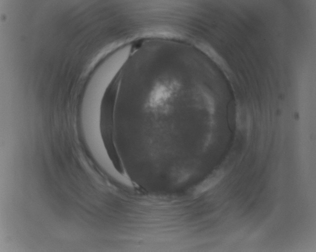 X0000081310434200702012338