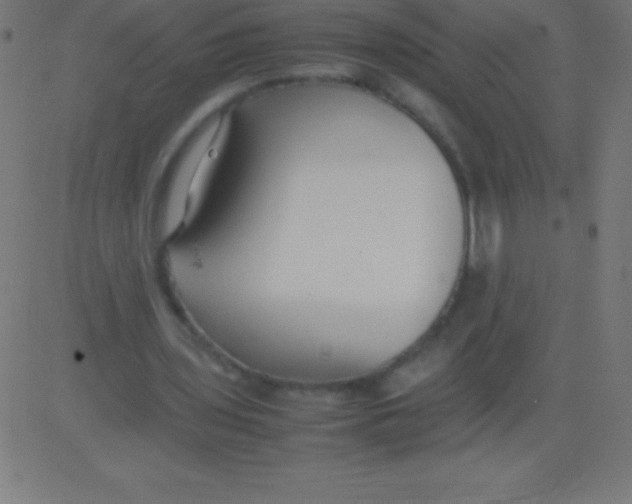 X0000081310435200702012338