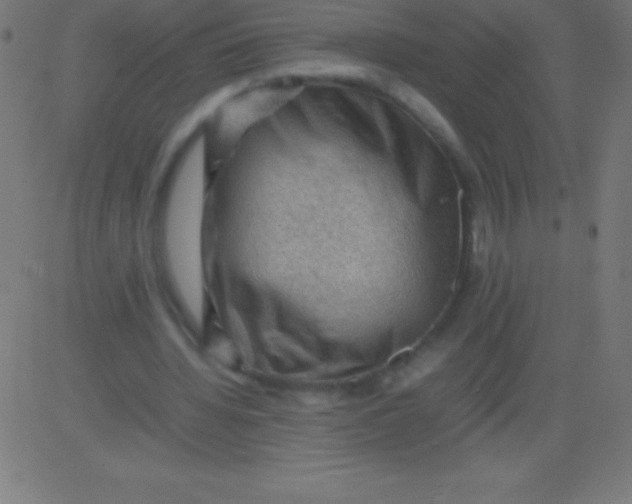 X0000081310436200702012338