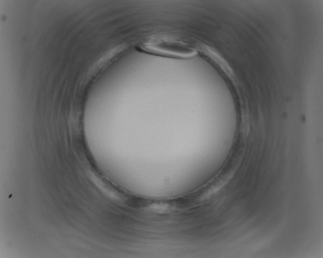 X0000081310441200702012338