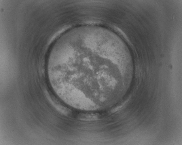 X0000081310443200702012338