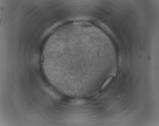 X0000081310444200702012338