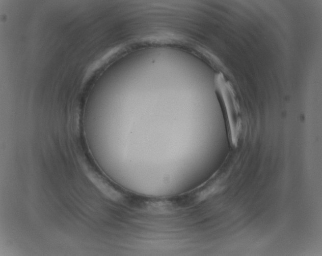 X0000081310446200702012338