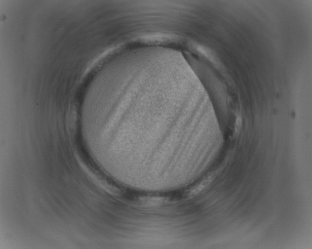 X0000081310448200702012338