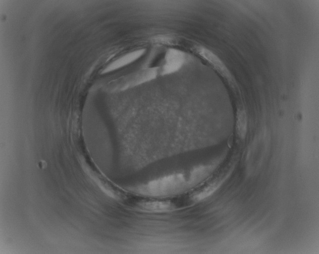 X0000081310449200702012338