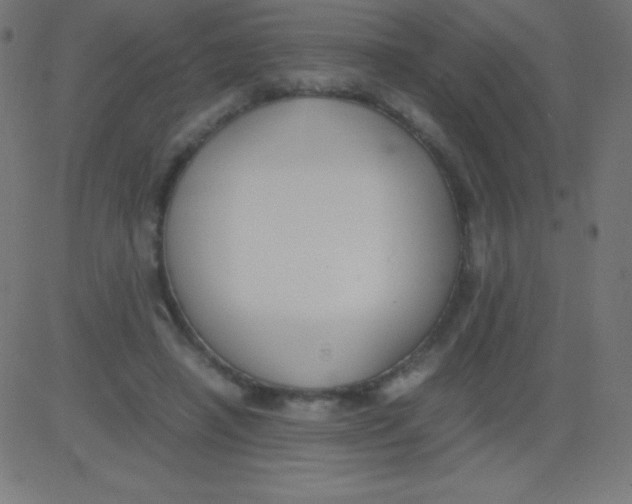 X0000081310450200702012338