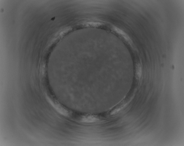 X0000081310451200702012338