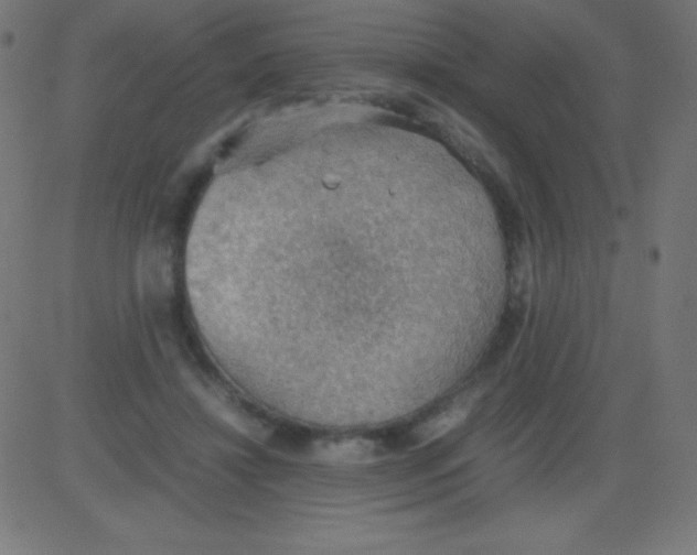 X0000081310452200702012338