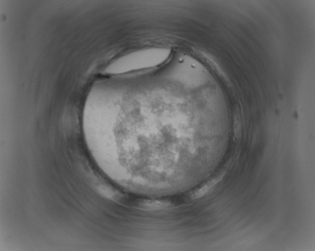 X0000081310453200702012338