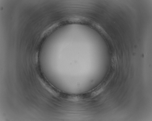 X0000081310454200702012338