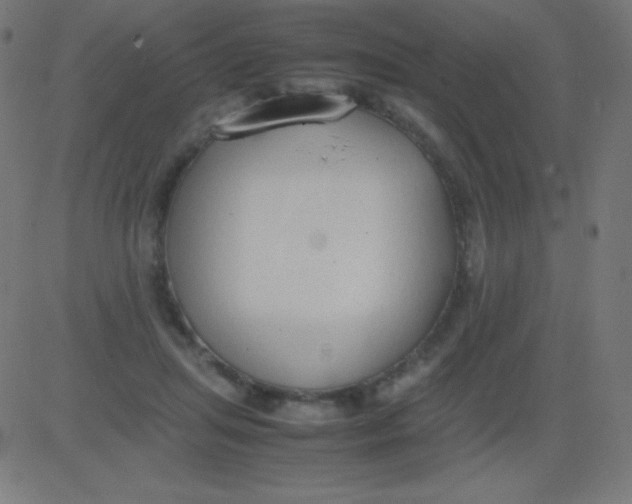 X0000081310455200702012338