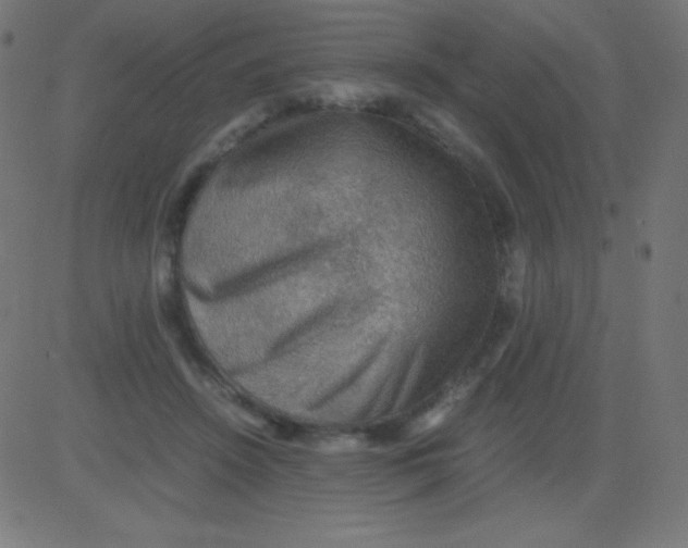 X0000081310456200702012338