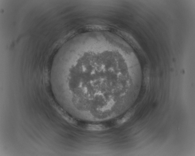 X0000081310457200702012338