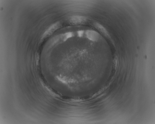 X0000081310458200702012338