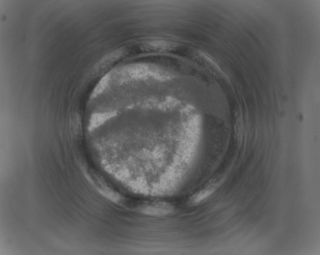 X0000081310459200702012338