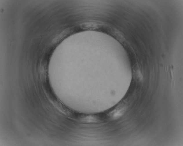 X0000081310460200702012338