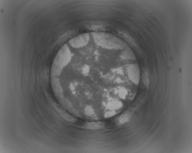 X0000081310461200702012338