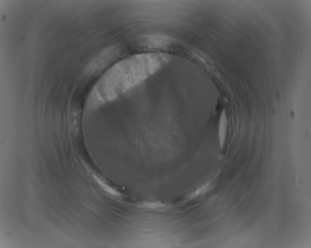 X0000081310462200702012338