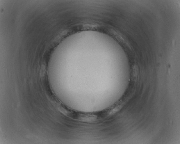 X0000081310463200702012339