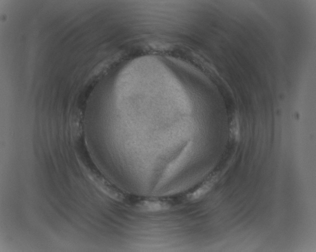 X0000081310464200702012339