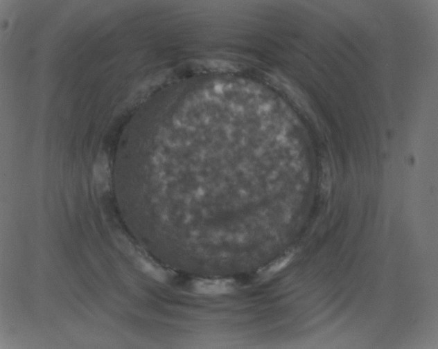 X0000081310465200702012339