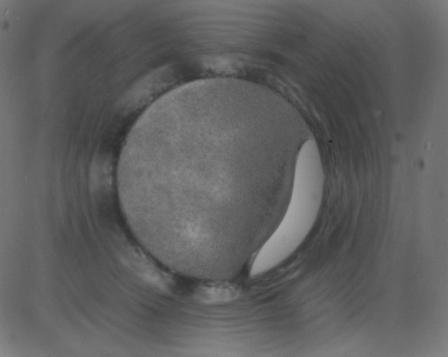 X0000081310466200702012339