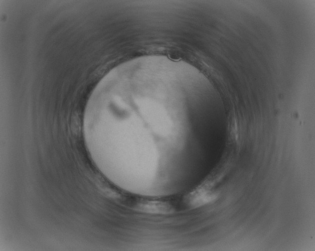 X0000081310467200702012339