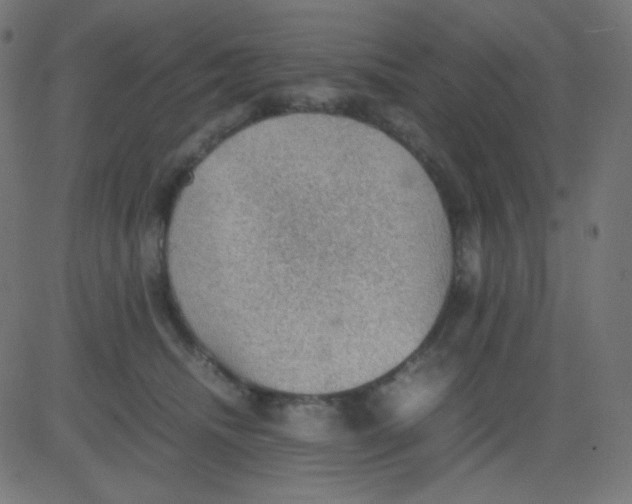 X0000081310468200702012339