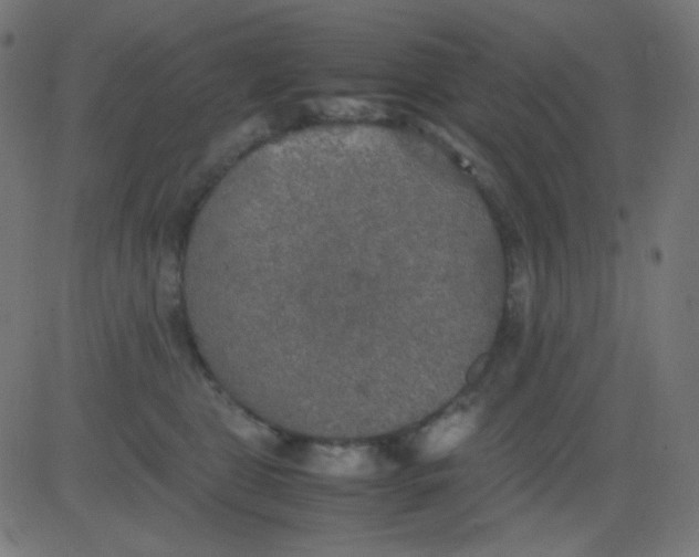 X0000081310469200702012339