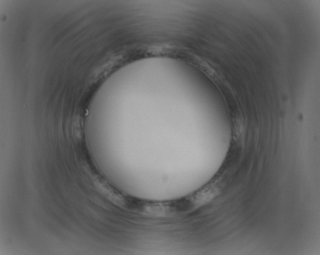 X0000081310470200702012339