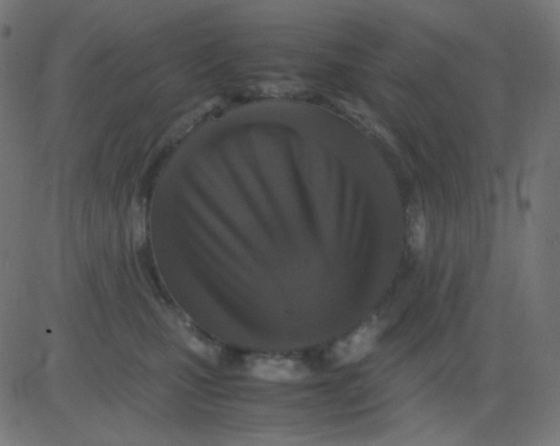 X0000081310471200702012339