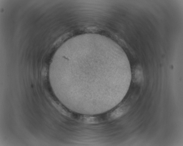 X0000081310472200702012339