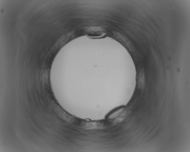 X0000081310473200702012339