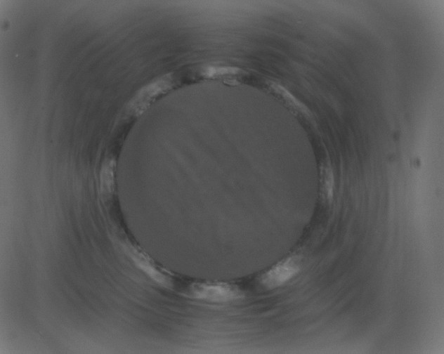 X0000081310475200702012339