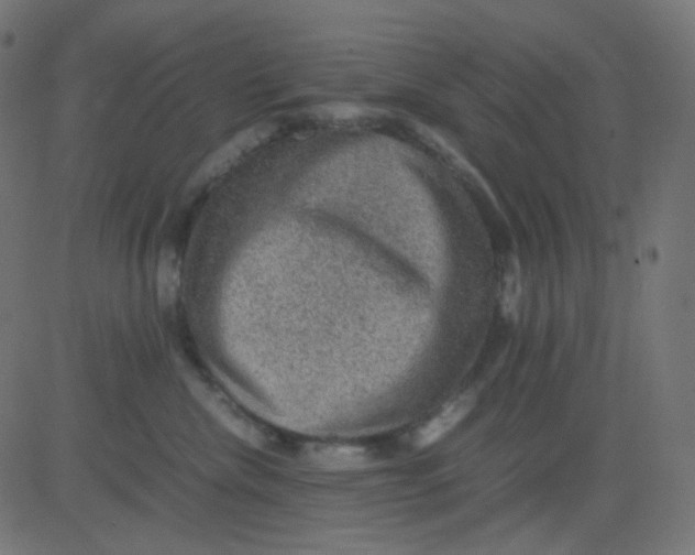 X0000081310476200702012339