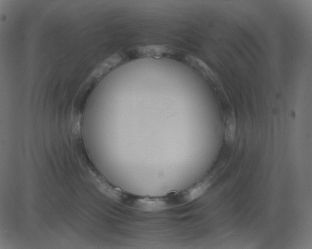 X0000081310477200702012339