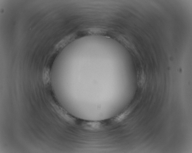 X0000081310478200702012339