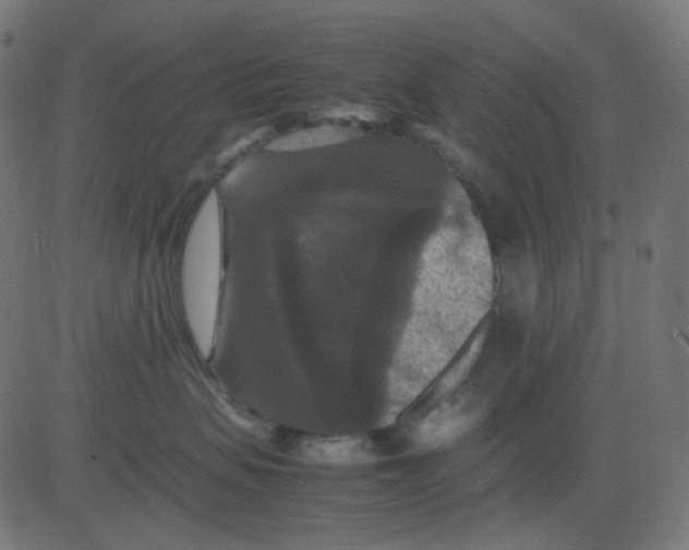 X0000081310479200702012339