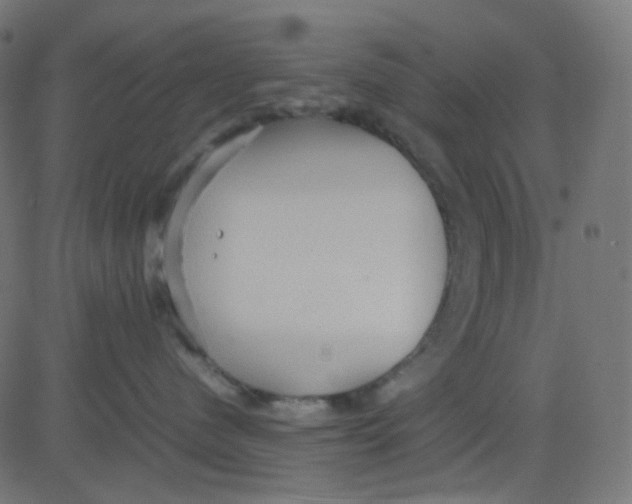 X0000081310480200702012339