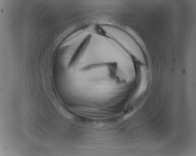 X0000081310481200702012338