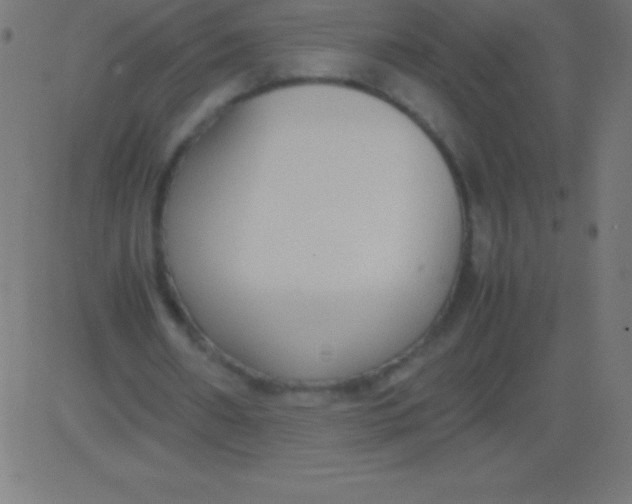 X0000081310482200702012338