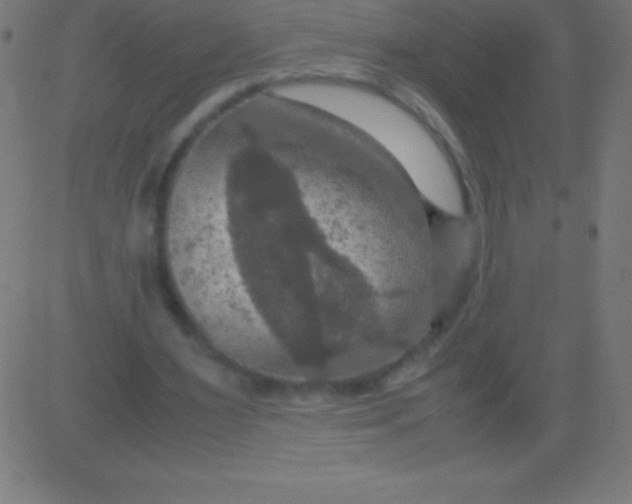 X0000081310483200702012338